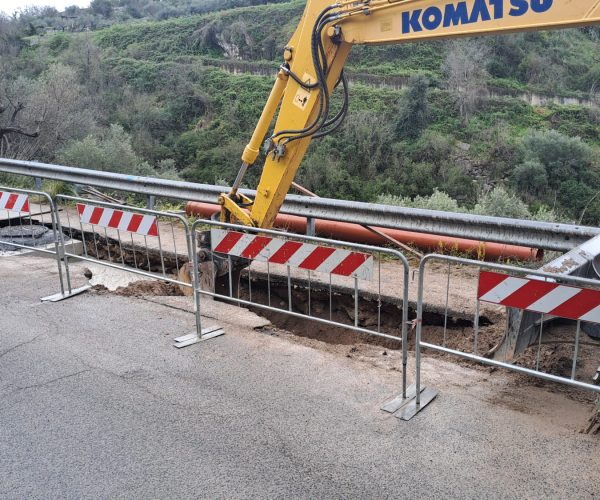 Immagine WhatsApp 2025-03-14 ore 13.12.14_9d6da121